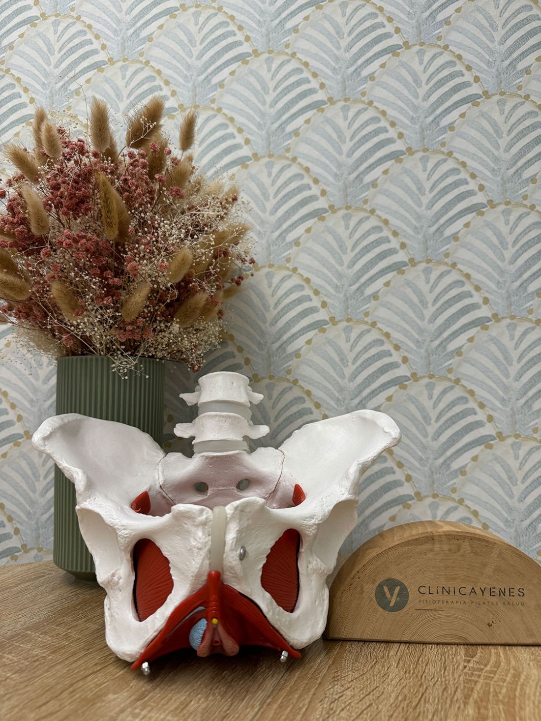 Figura de pelvis sobre mesa de madera