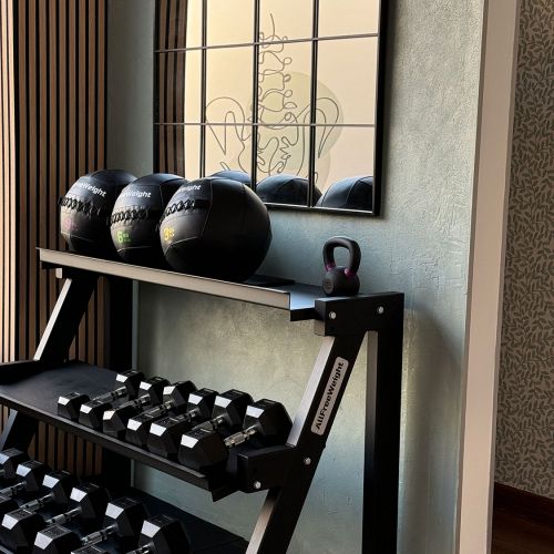 Estantes con balones medicinales y pesas de color negro
