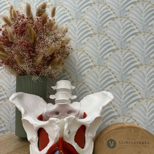 Figura de pelvis sobre mesa de madera