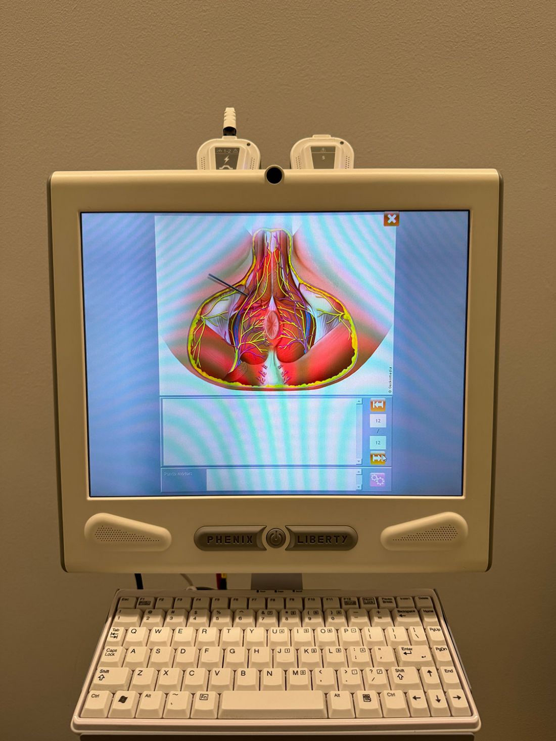 Sistema digital con visualización de estructuras óseas para apoyo clínico