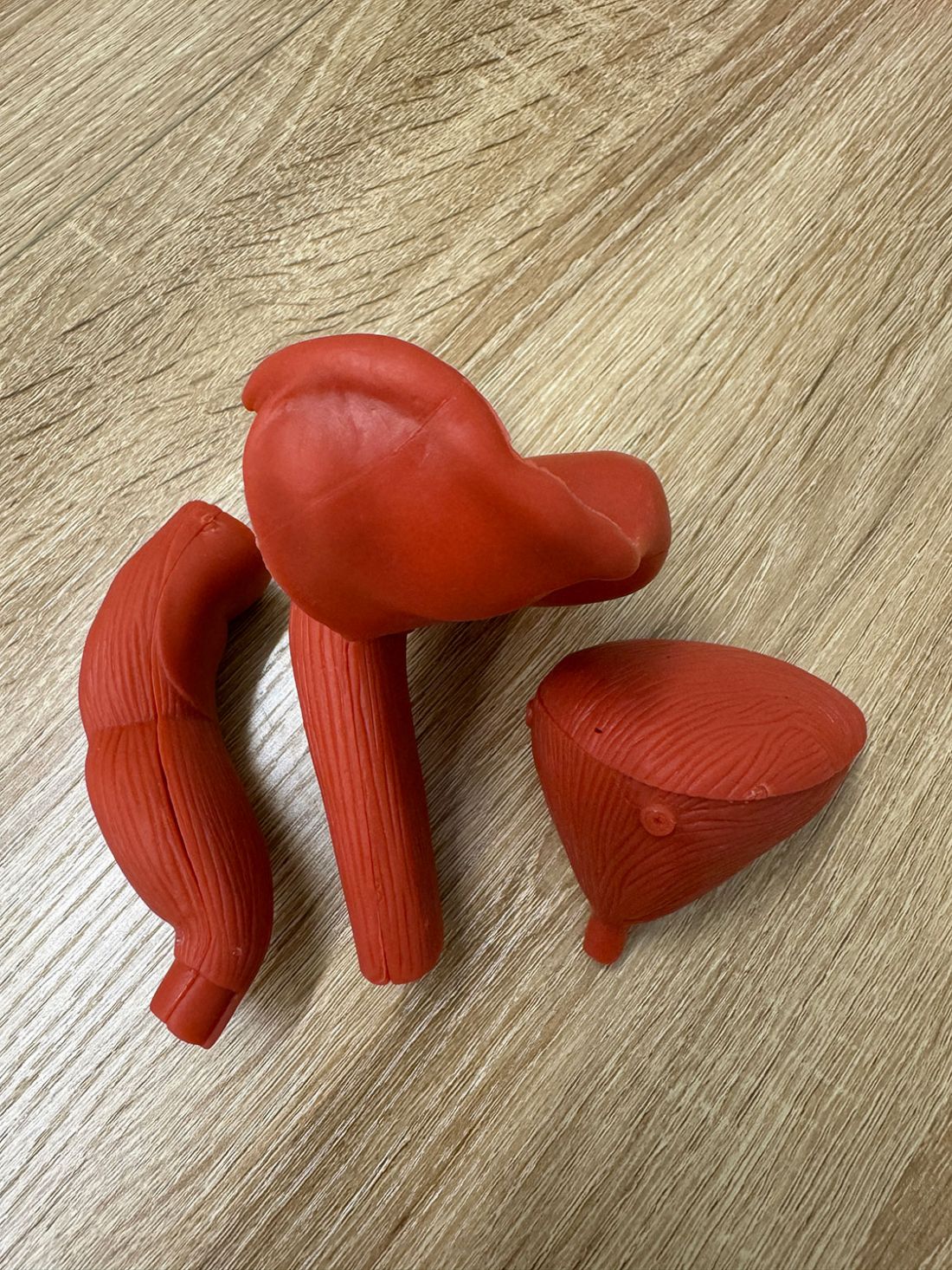 Reproducciones didácticas utilizadas en la explicación de tratamientos