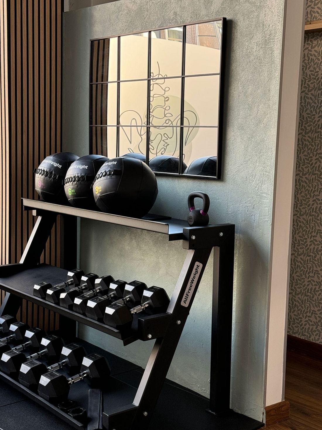 Estantes con balones medicinales y pesas de color negro