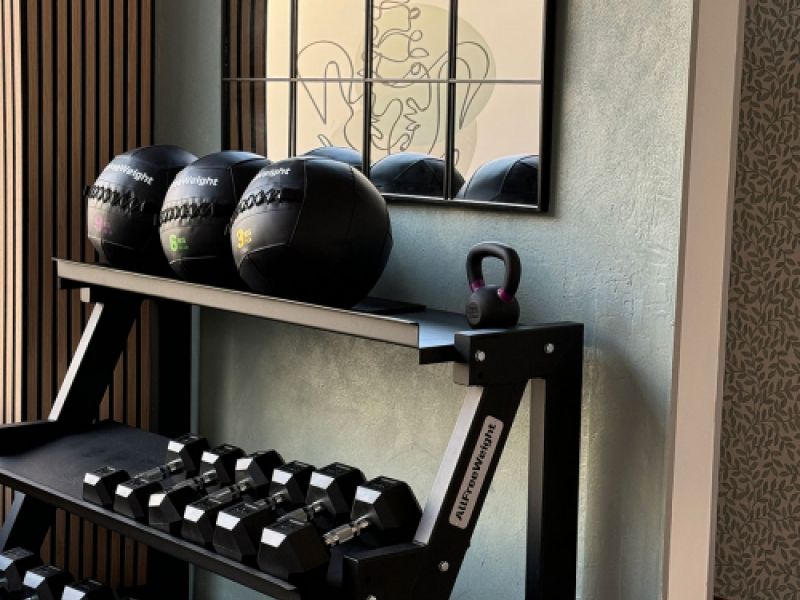 Estantes con balones medicinales y pesas de color negro