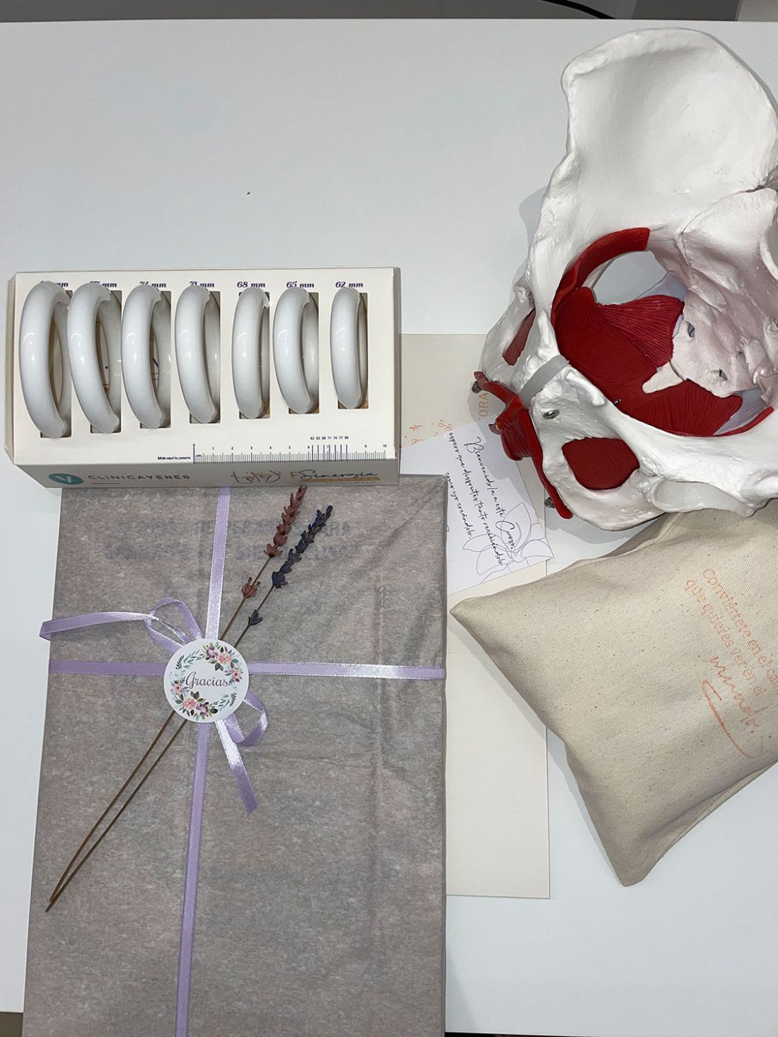 Recursos visuales para explicar la estructura ósea y los tratamientos